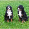 picture-0031