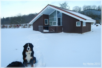 Cara im Schnee