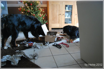 Werihnachten2012