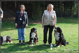 Das Team für alle Felle